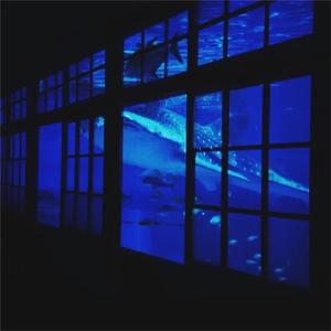 舞蹈生白丝男孩
